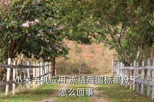 小米系統(tǒng)軟件凍結,強制刪除小米手機系統(tǒng)軟件